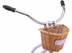 Велосипед Schwinn Mikko 1 (2021)- фото4