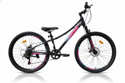 Велосипед Greenland Cruise 26 (2025)- фото