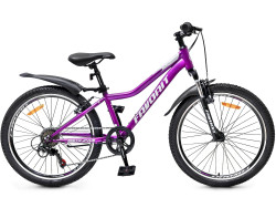 Велосипед Favorit VISTA-24VS- фото2