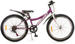 Велосипед Favorit Discovery 24VS- фото